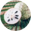 Proteina Base - Chirimolla