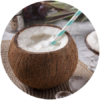 Proteina Base - Coco Milkchake